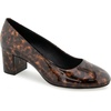 image:imageAerosoles EbelTortoise Java Multi
